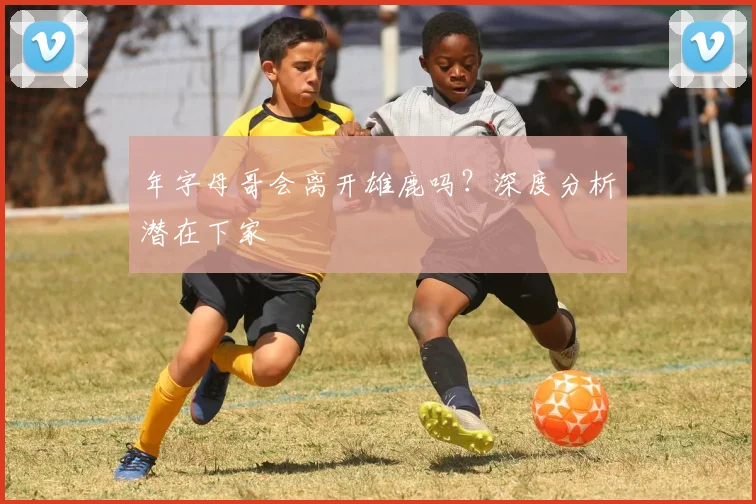 年字母哥会离开雄鹿吗?深度分析潜在下家